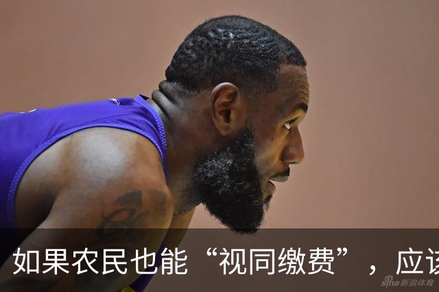 如果农民也能“视同缴费”，应该拿多少养老金？