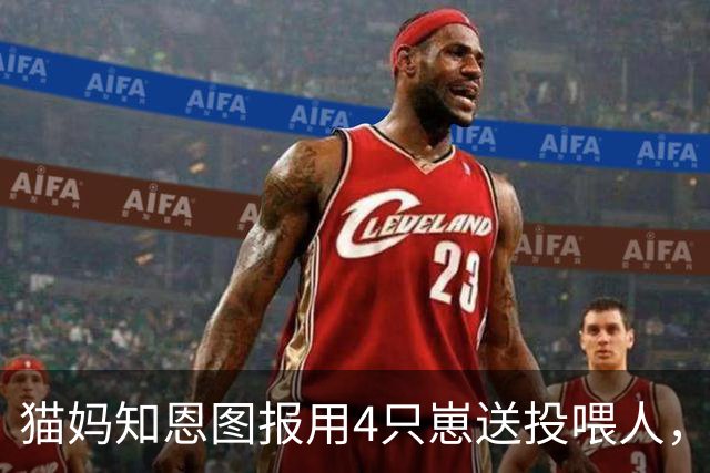猫妈知恩图报用4只崽送投喂人，奈何均遭拒。走到无人角落后：其实我也没有很想送你！抹泪ing