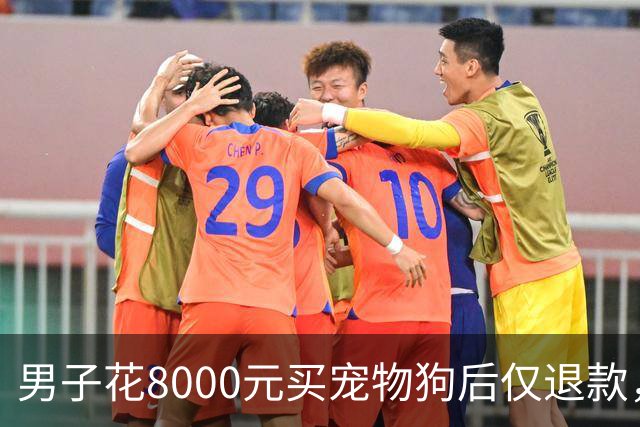 男子花8000元买宠物狗后仅退款，商家驱车600公里上门寻狗