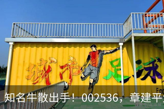 知名牛散出手！002536，章建平大举买入