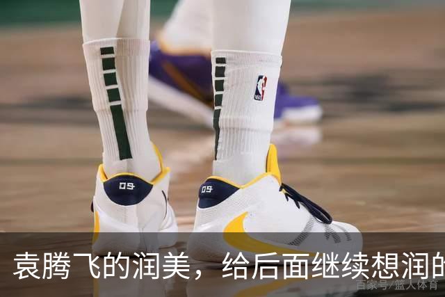 袁腾飞的润美，给后面继续想润的人敲响了警钟