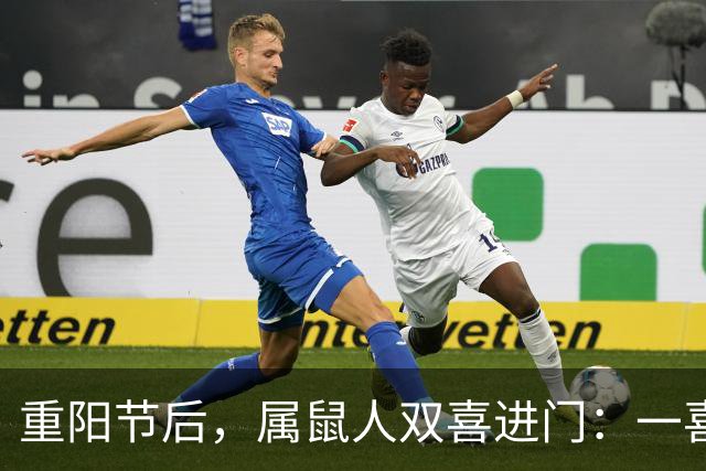 重阳节后，属鼠人双喜进门：一喜解心结，二喜遇贵人