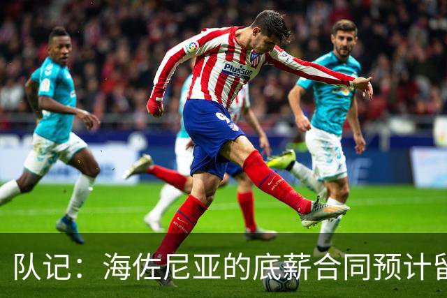 队记：海佐尼亚的底薪合同预计留至11月15日，随后转为全额保障