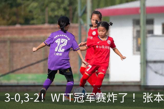 3-0,3-2！WTT冠军赛炸了 ！张本智和溃败一轮游 , 男单两将绝地逆转