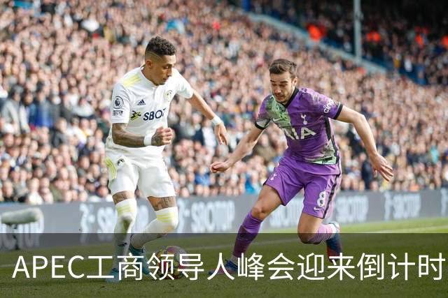APEC工商领导人峰会迎来倒计时1个月