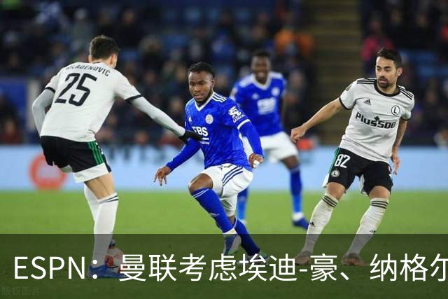 ESPN：曼联考虑埃迪-豪、纳格尔斯曼接替卡里克
